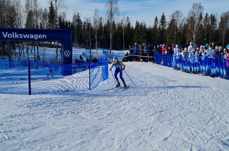 En bild