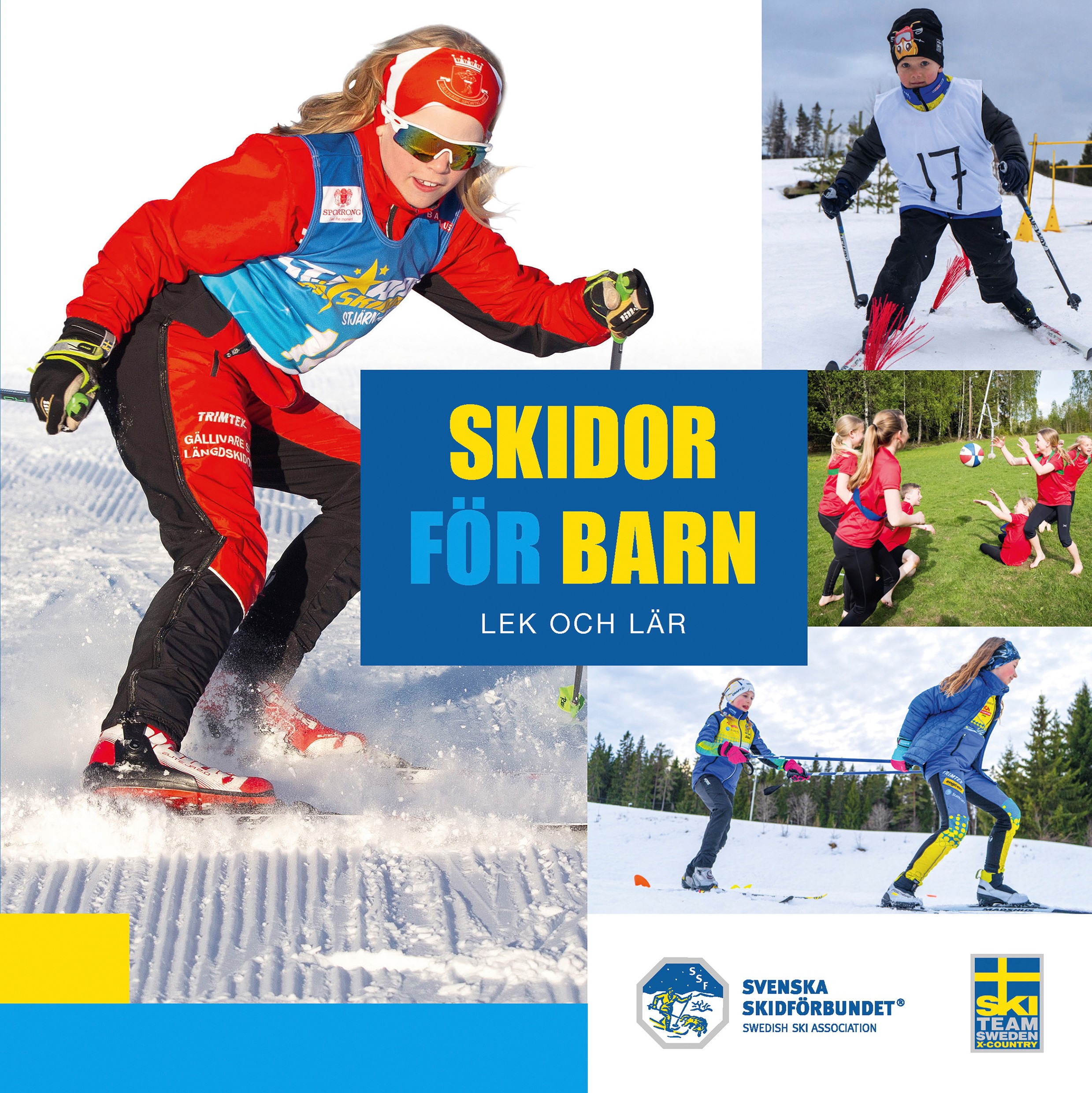 En bild