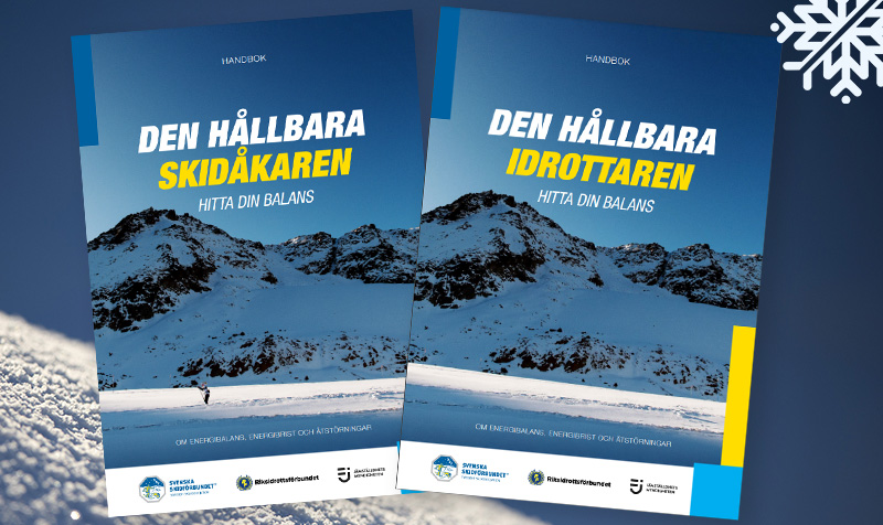 En bild