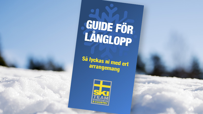 En bild