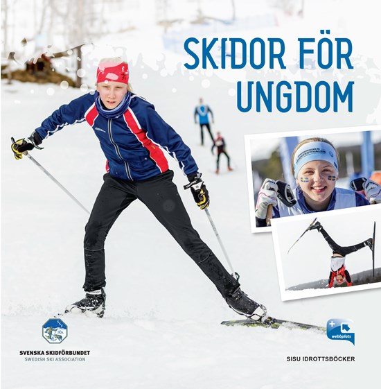 En bild