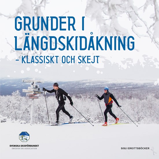 En bild