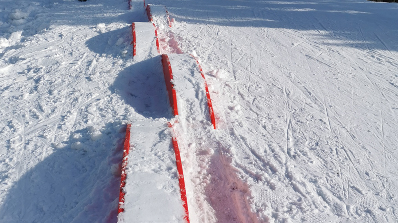 Orgeltramp skidor vinter