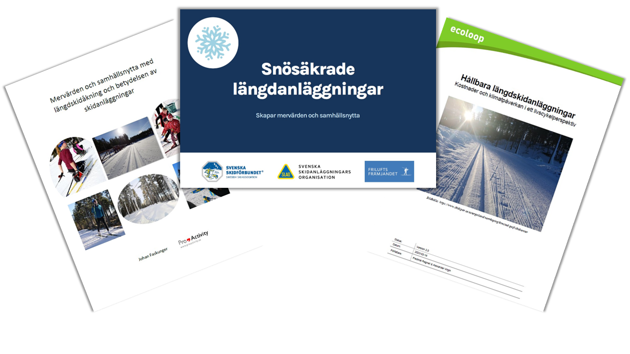 En bild