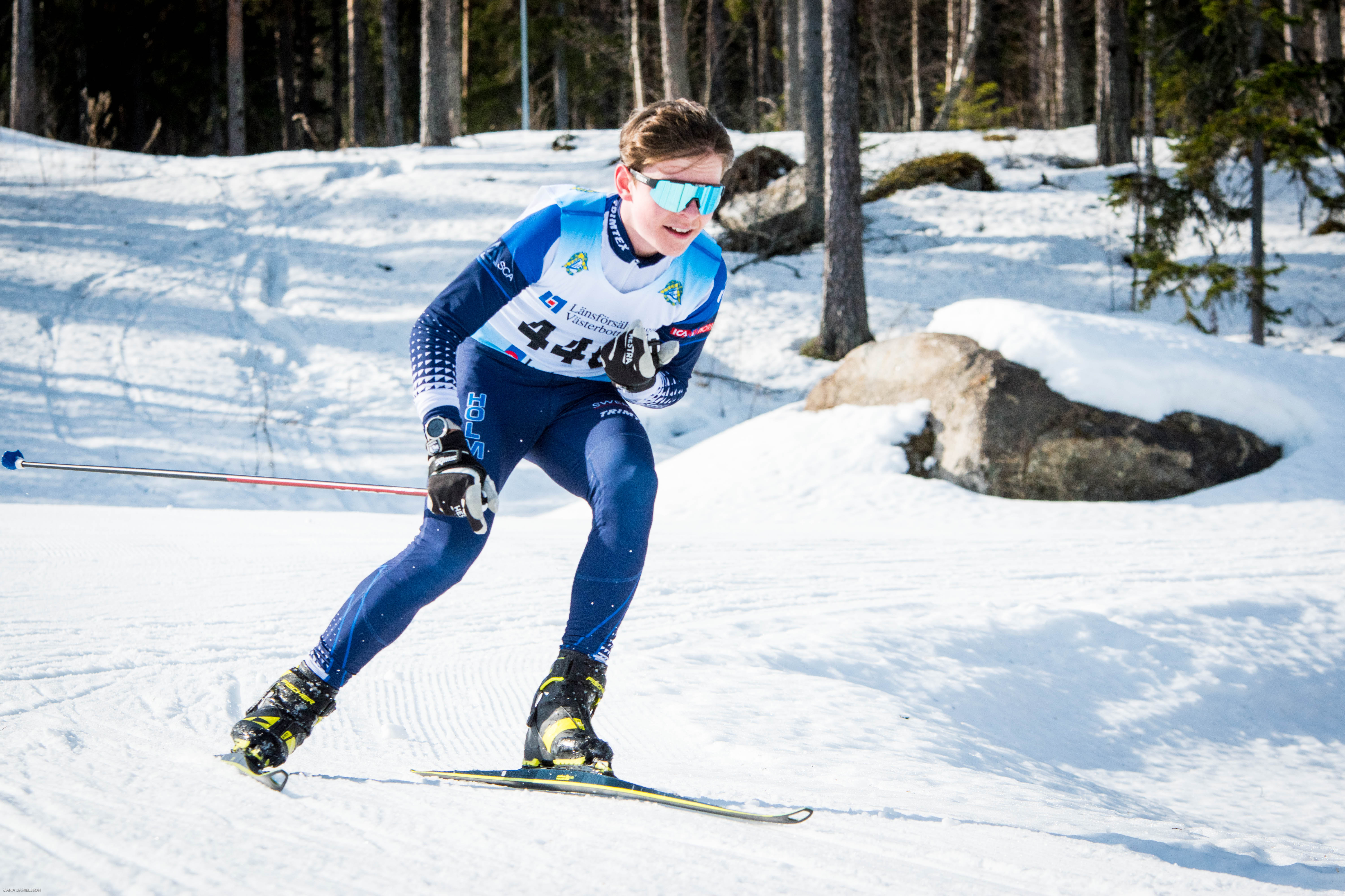 En bild