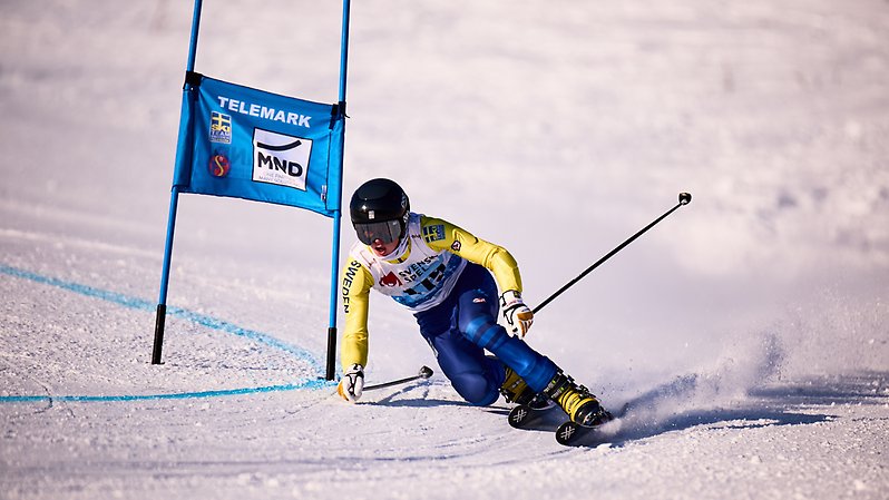 Vile Noaksson är den yngsta åkaren i laget och visar att framtiden för svensk telemark ser ljus ut. Foto: Sam Decout/@fistlemark.